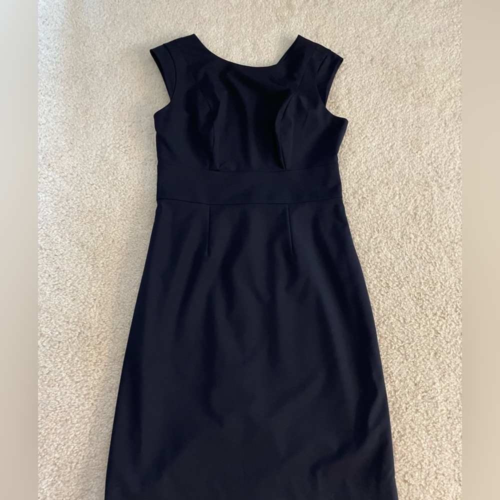 The Limited navy blue work dress